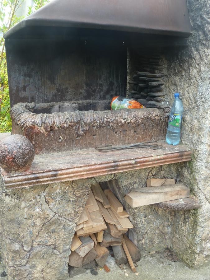 U Olgi Hotel Truskavets Bagian luar foto